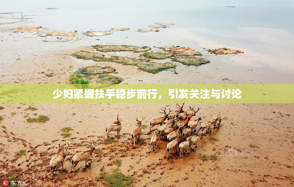 少妇紧握扶手稳步前行，引发关注与讨论