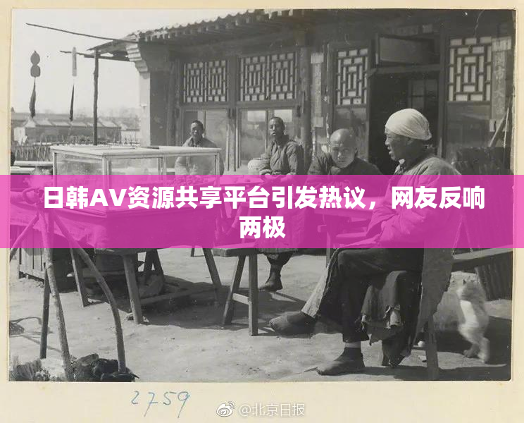 日韩AV资源共享平台引发热议，网友反响两极