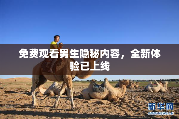 免费观看男生隐秘内容，全新体验已上线