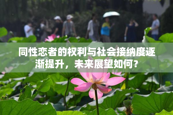 同性恋者的权利与社会接纳度逐渐提升，未来展望如何？