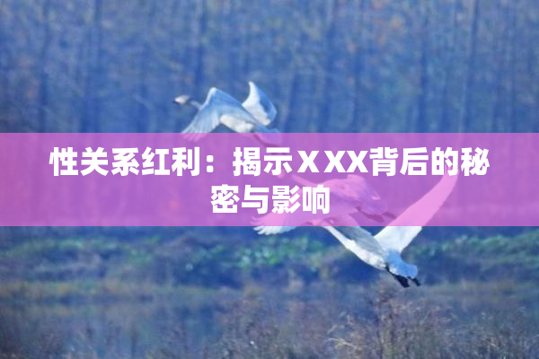 性关系红利：揭示ⅩXX背后的秘密与影响