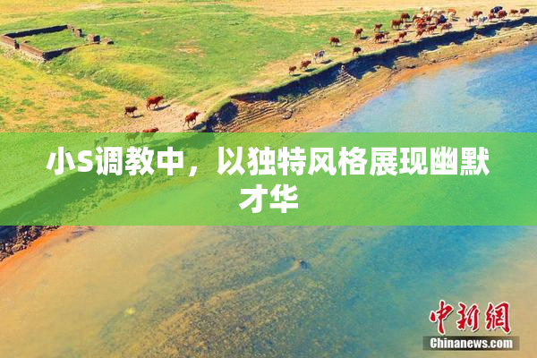 小S调教中，以独特风格展现幽默才华