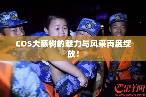 COS大慈树的魅力与风采再度绽放！