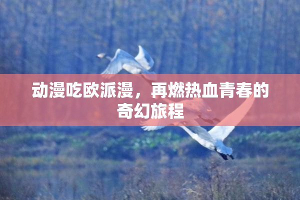 动漫吃欧派漫，再燃热血青春的奇幻旅程