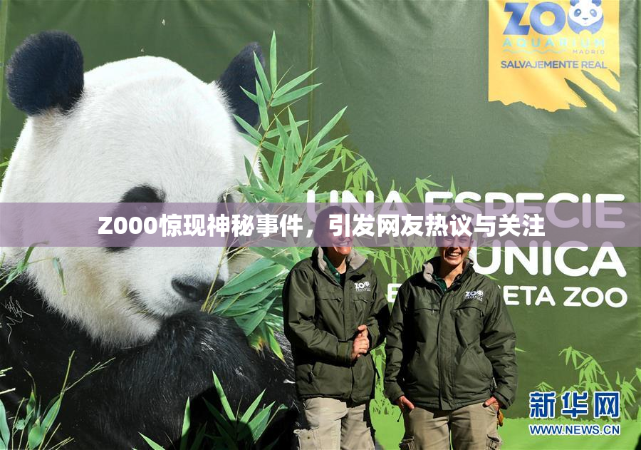 Z000惊现神秘事件，引发网友热议与关注