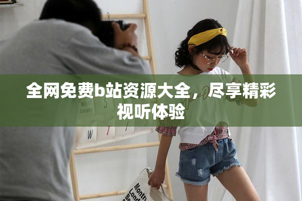 全网免费b站资源大全，尽享精彩视听体验