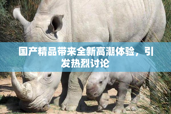 国产精品带来全新高潮体验，引发热烈讨论