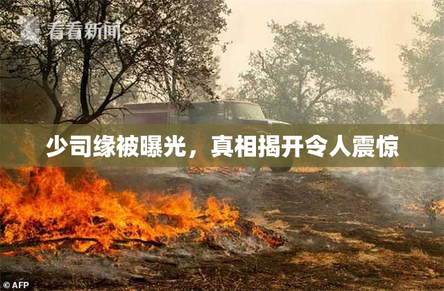 少司缘被曝光，真相揭开令人震惊