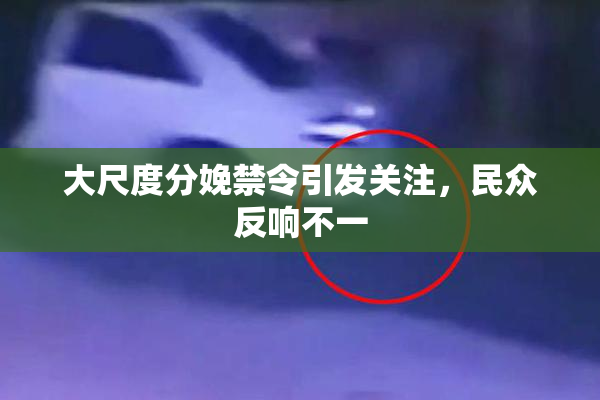 大尺度分娩禁令引发关注，民众反响不一