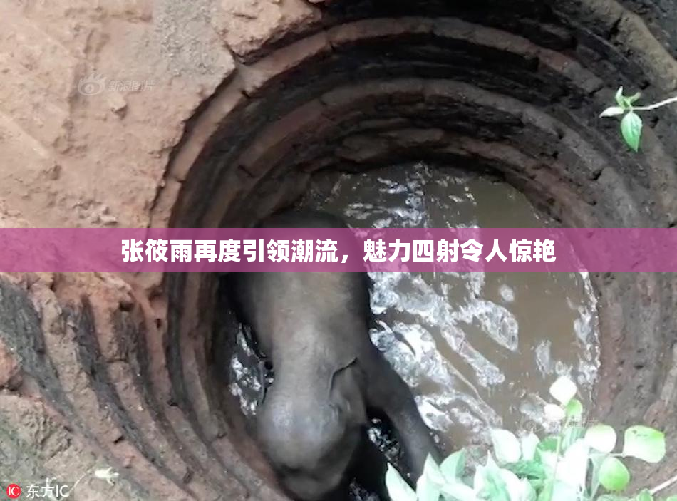 张筱雨再度引领潮流，魅力四射令人惊艳