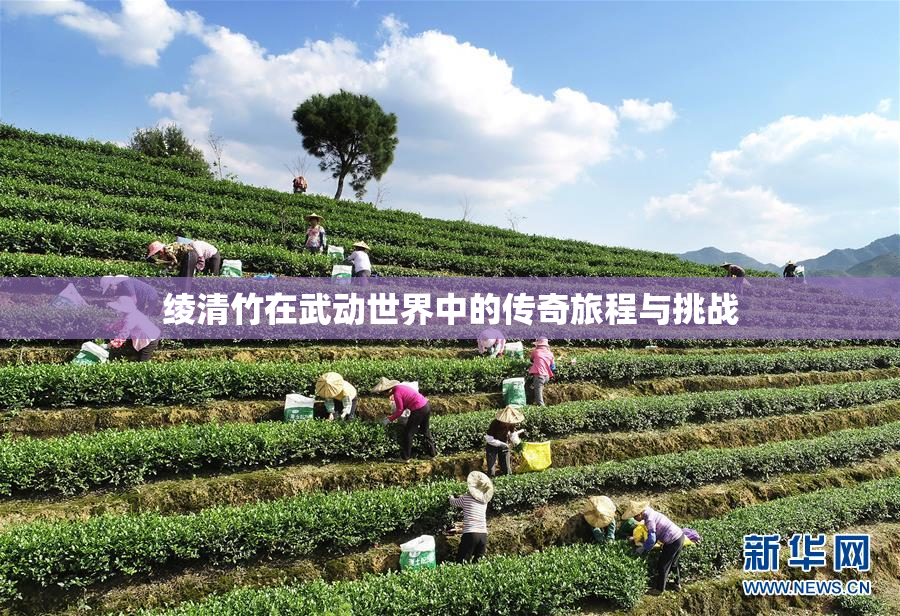 绫清竹在武动世界中的传奇旅程与挑战