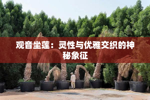 观音坐莲：灵性与优雅交织的神秘象征