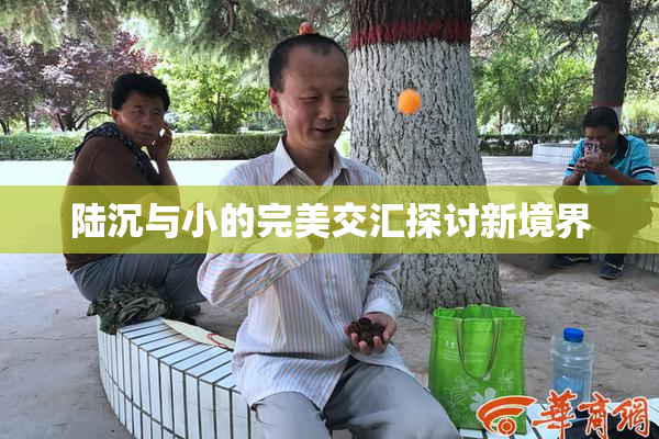 陆沉与小的完美交汇探讨新境界