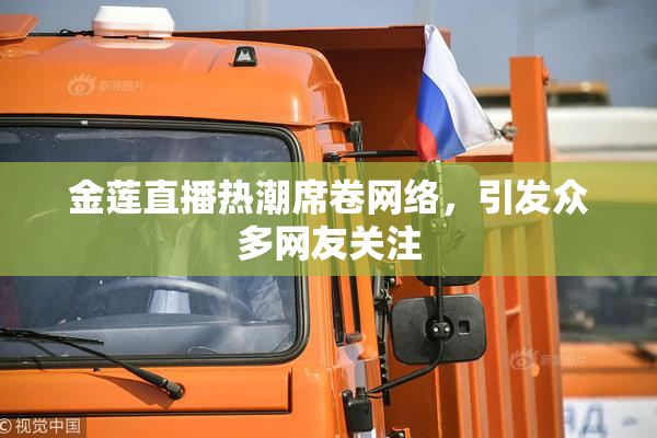 金莲直播热潮席卷网络，引发众多网友关注