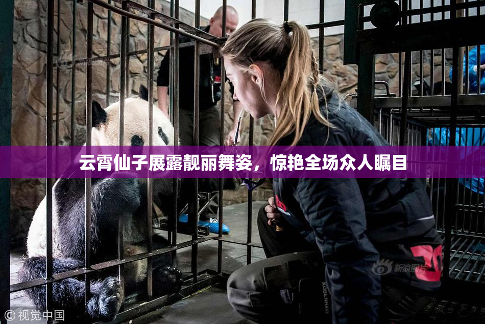 云霄仙子展露靓丽舞姿，惊艳全场众人瞩目