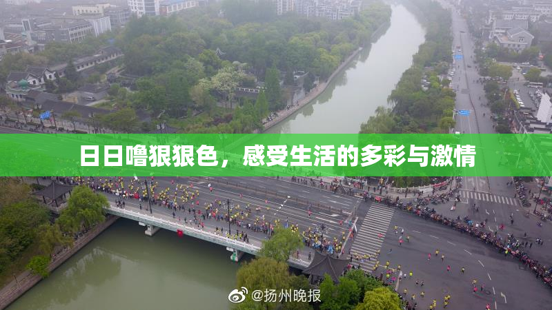 日日噜狠狠色，感受生活的多彩与激情