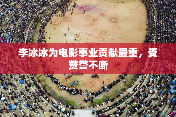 李冰冰为电影事业贡献最重，受赞誉不断