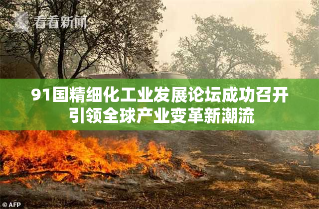 91国精细化工业发展论坛成功召开 引领全球产业变革新潮流