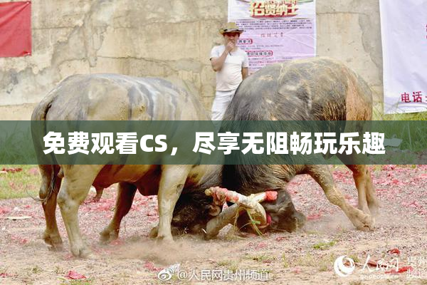 免费观看CS，尽享无阻畅玩乐趣