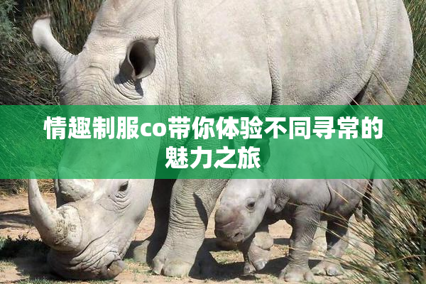 情趣制服co带你体验不同寻常的魅力之旅