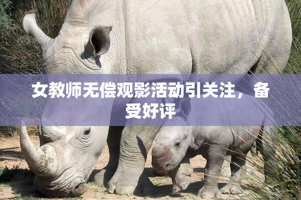 女教师无偿观影活动引关注，备受好评
