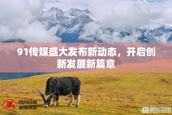 91传媒盛大发布新动态，开启创新发展新篇章