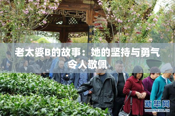 老太婆B的故事：她的坚持与勇气令人敬佩