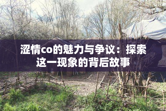 涩情co的魅力与争议：探索这一现象的背后故事