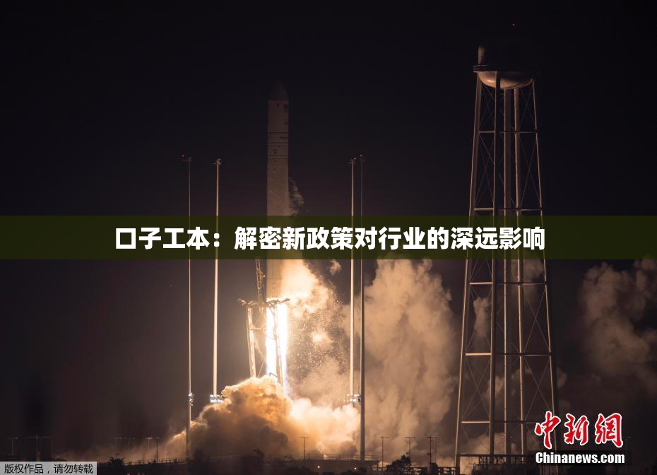 口子工本：解密新政策对行业的深远影响