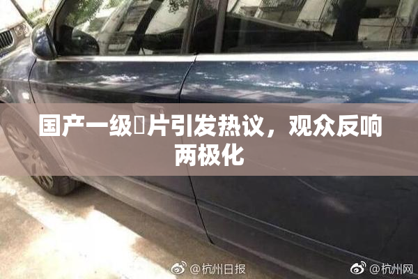 国产一级婬片引发热议，观众反响两极化