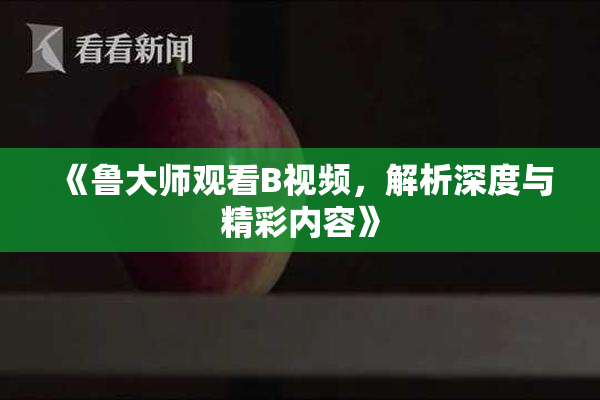 《鲁大师观看B视频，解析深度与精彩内容》