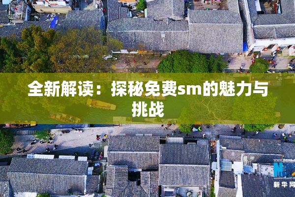 全新解读：探秘免费sm的魅力与挑战