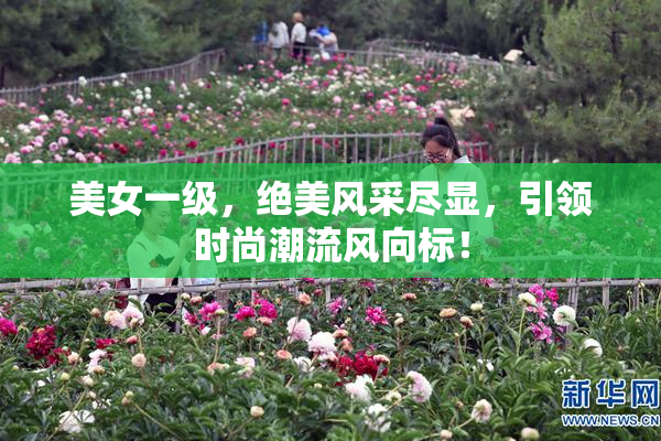 美女一级，绝美风采尽显，引领时尚潮流风向标！