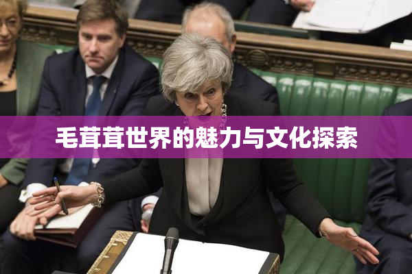 毛茸茸世界的魅力与文化探索