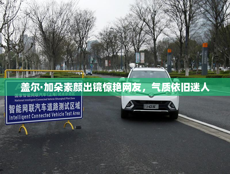 盖尔·加朵素颜出镜惊艳网友，气质依旧迷人
