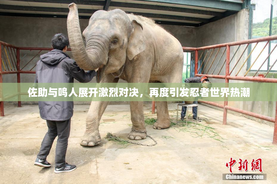 佐助与鸣人展开激烈对决，再度引发忍者世界热潮