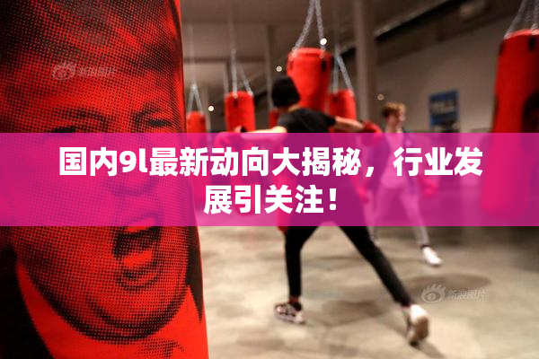 国内9l最新动向大揭秘，行业发展引关注！