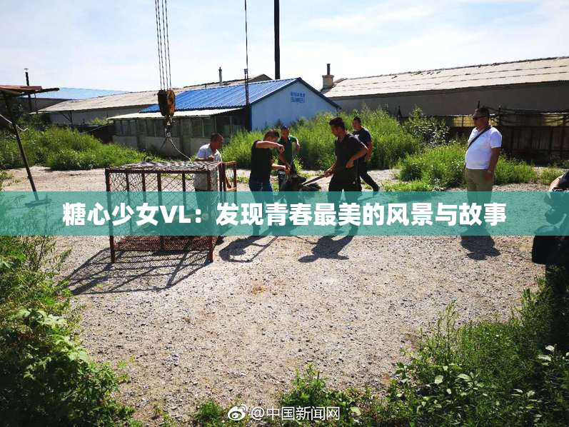 糖心少女VL：发现青春最美的风景与故事