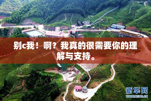 别c我！啊？我真的很需要你的理解与支持。
