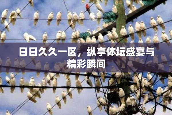 日日久久一区，纵享体坛盛宴与精彩瞬间