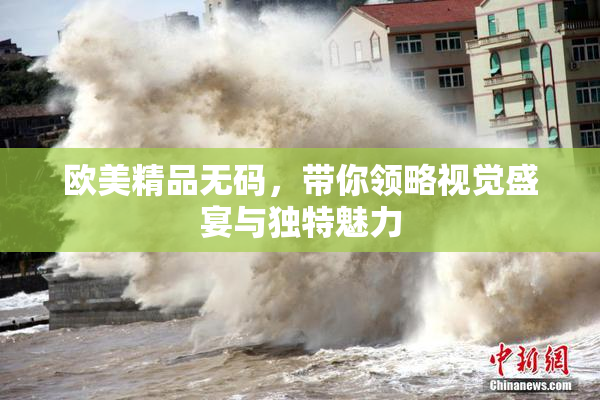 欧美精品无码，带你领略视觉盛宴与独特魅力