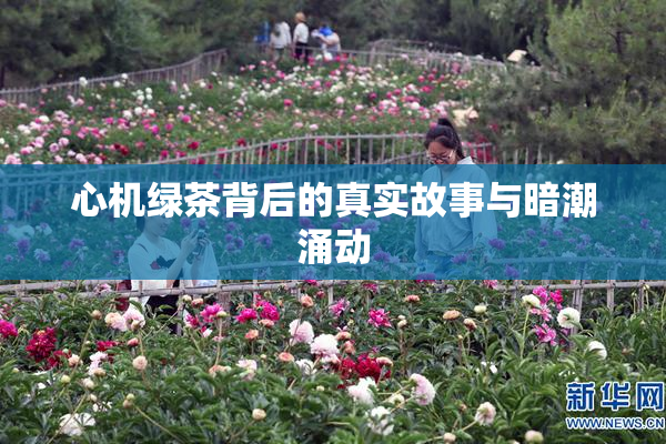 心机绿茶背后的真实故事与暗潮涌动