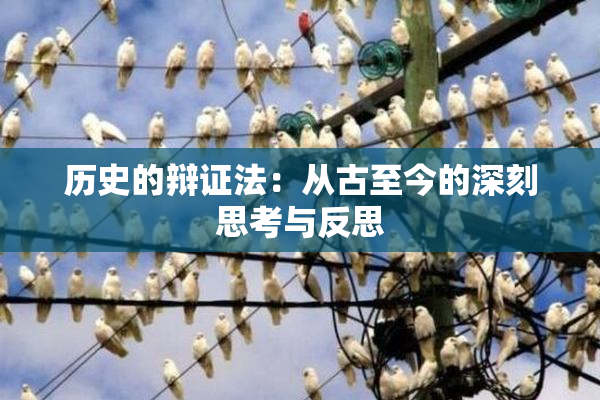 历史的辩证法：从古至今的深刻思考与反思