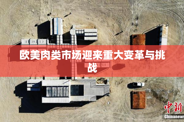 欧美肉类市场迎来重大变革与挑战