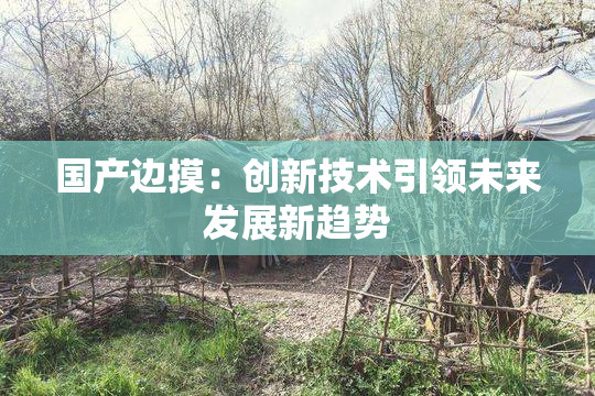 国产边摸：创新技术引领未来发展新趋势