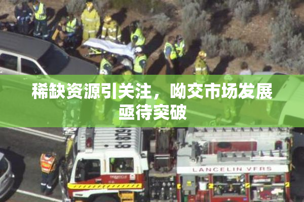 稀缺资源引关注，呦交市场发展亟待突破