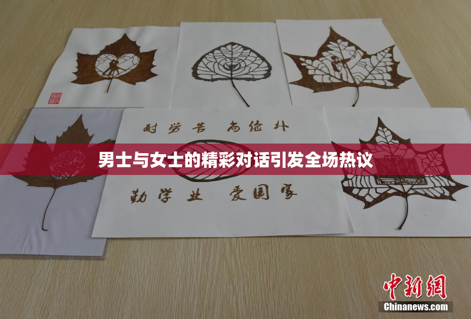 男士与女士的精彩对话引发全场热议