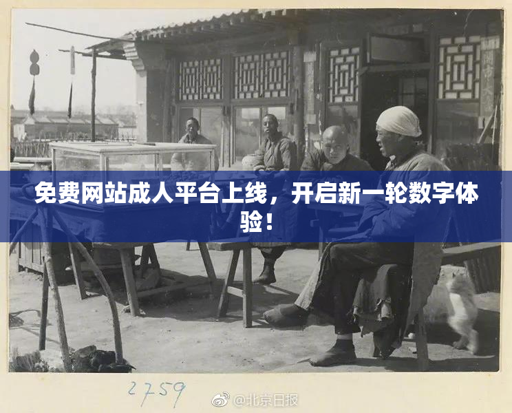 免费网站成人平台上线，开启新一轮数字体验！
