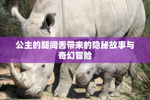 公主的腿间舌带来的隐秘故事与奇幻冒险