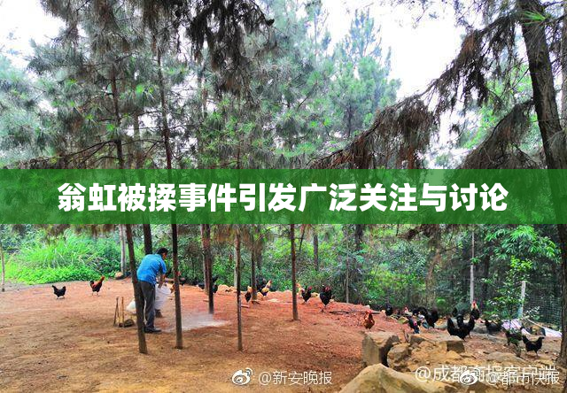 翁虹被揉事件引发广泛关注与讨论